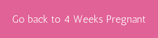 Go back to 4 weeks pregnant - motherhooddiaries