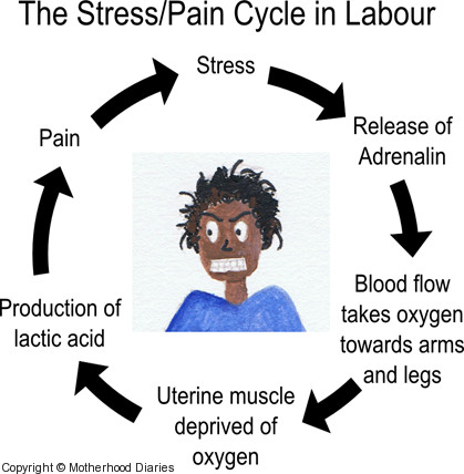 Pain/Stress Free Labour