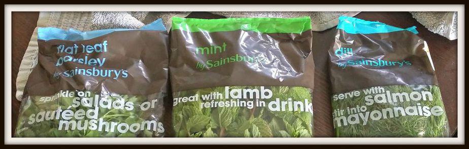 Fresh parsley, mint leaves and dill