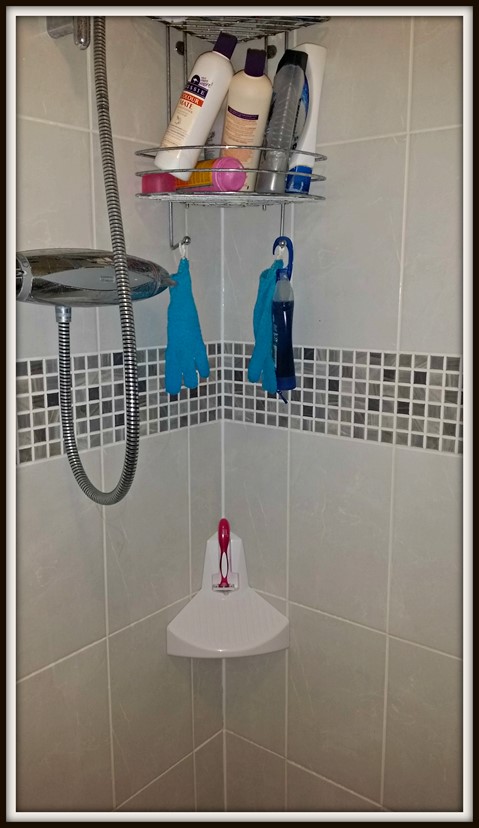 Elevease shower step