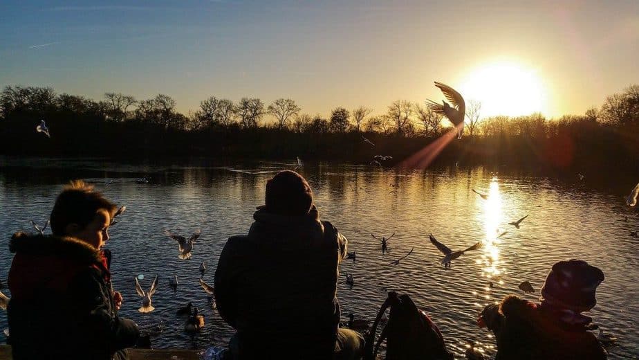 A vitamin D supplement a day help keeps the doctor away