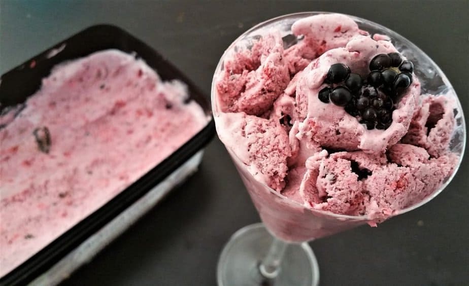 Blackberry, Strawberry and Dark Chocolate Chip Food Processor Ice Cream Recipe – No Ice Cream Maker Needed!