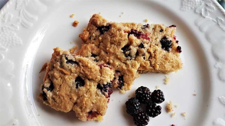 Almond and Blackberry Biscuit Squares - motherhooddiaries