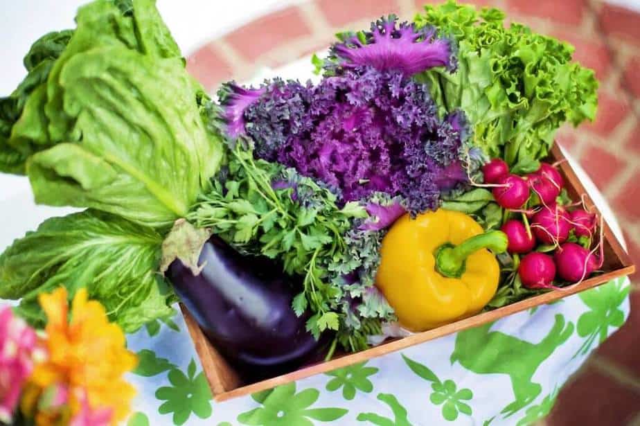 9 of the easiest vegetables to grow in your garden