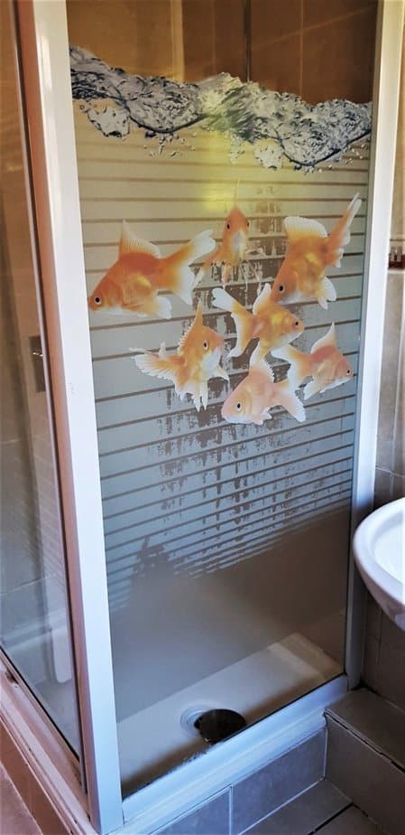 Goldfish Printed Window Film from Purlfrost