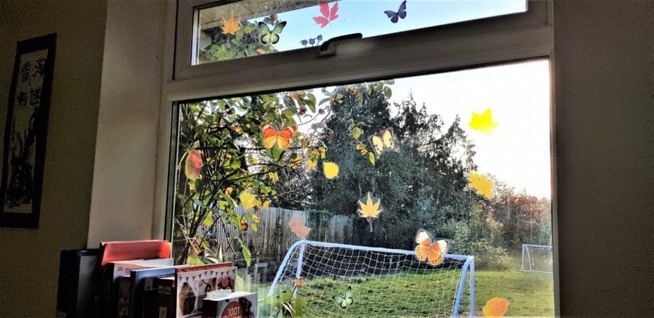 Leaves window stickers or butterfly window stickers from Purlfrost