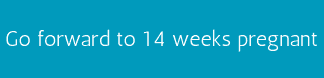 Go forward to 14 weeks pregnant