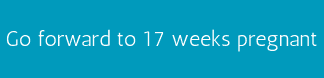 Go forward to 17 weeks pregnant