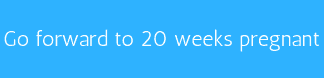 Go forward to 20 weeks pregnant