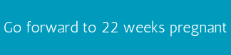 Go forward to 22 weeks pregnant