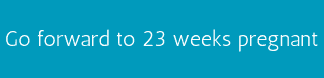 Go forward to 23 weeks pregnant