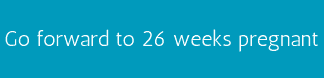 Go forward to 26 weeks pregnant