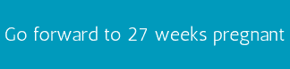 Go forward to 27 weeks pregnant