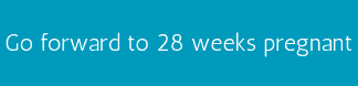 Go forward to 28 weeks pregnant