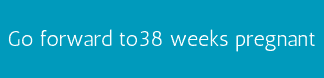 Go forward to 38 weeks pregnant