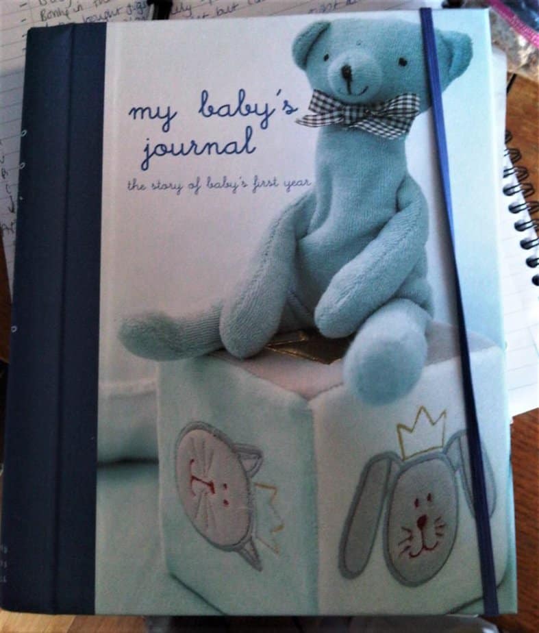 My baby's first year journal