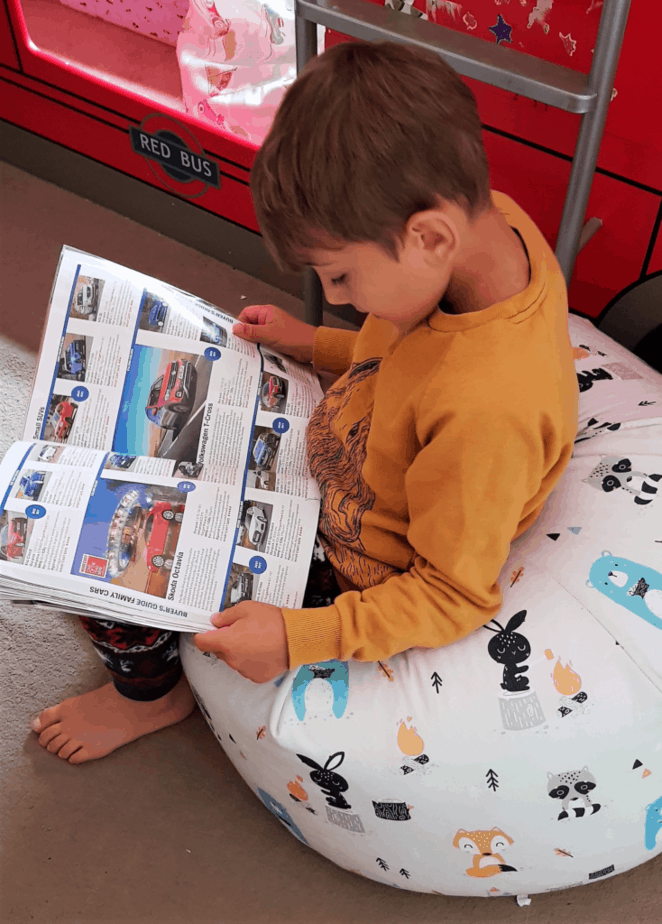 Animal Camp Bean Bag Chair from Just4Kids