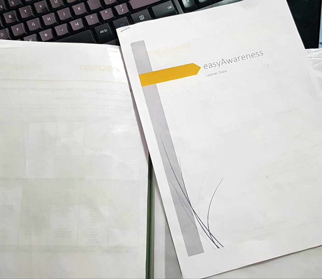 Boys' learner diaries for easyAwareness Mindscreen