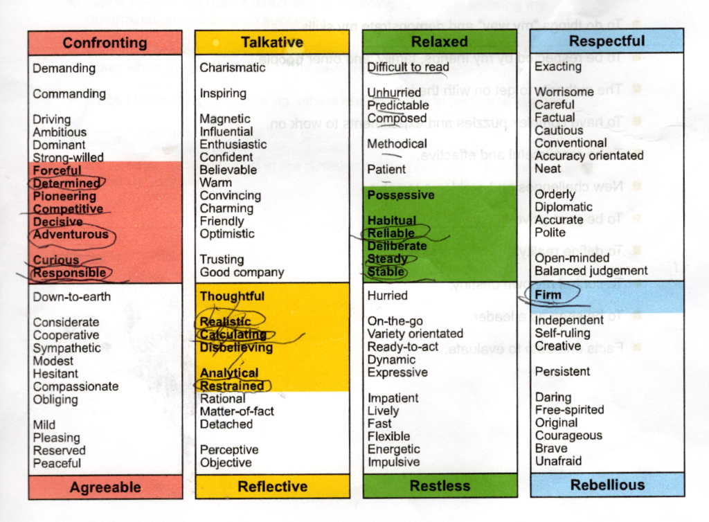 How I see myself mindscreen profile