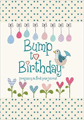 Bump to Birthday, Pregnancy & First Year Baby Journal : an award-winning journal / diary to help you hold onto memories of the growing bump, the birth & the first year with your baby (Parent & Child) Diary