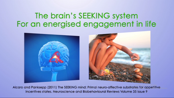 The brain's SEEKING system for an energised engagement in life.