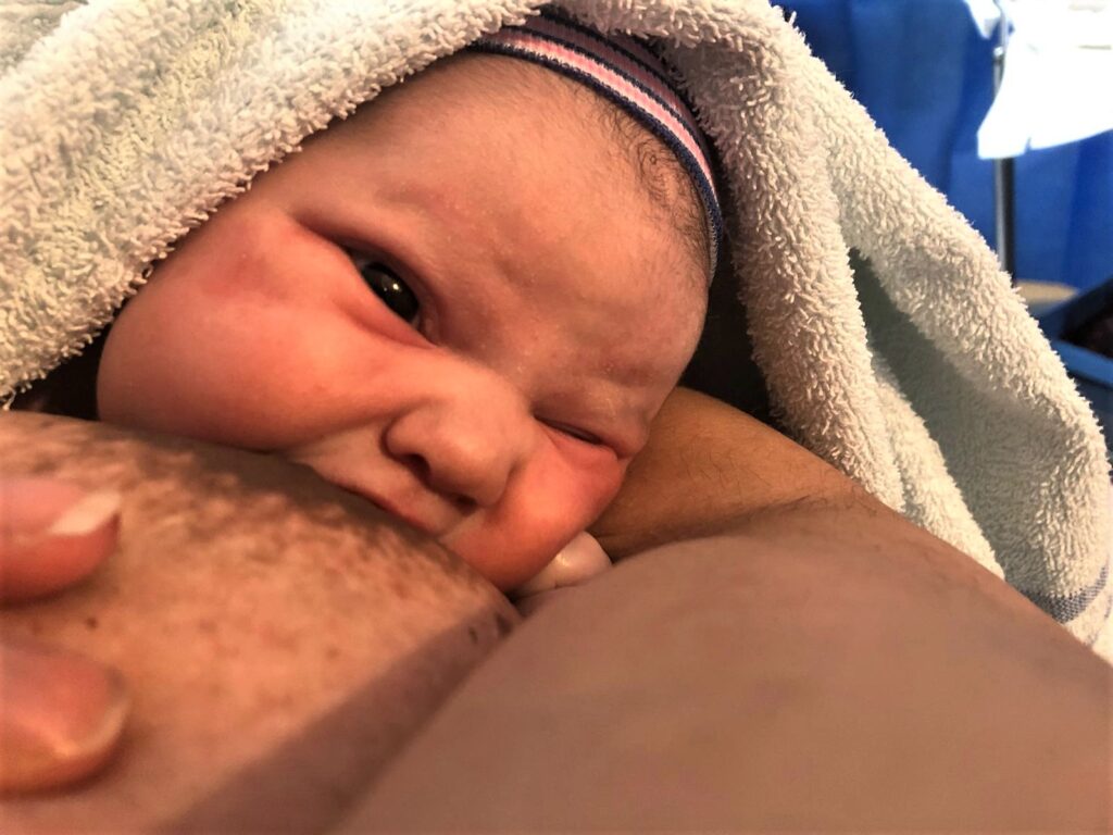 Amelia attached to feed already!