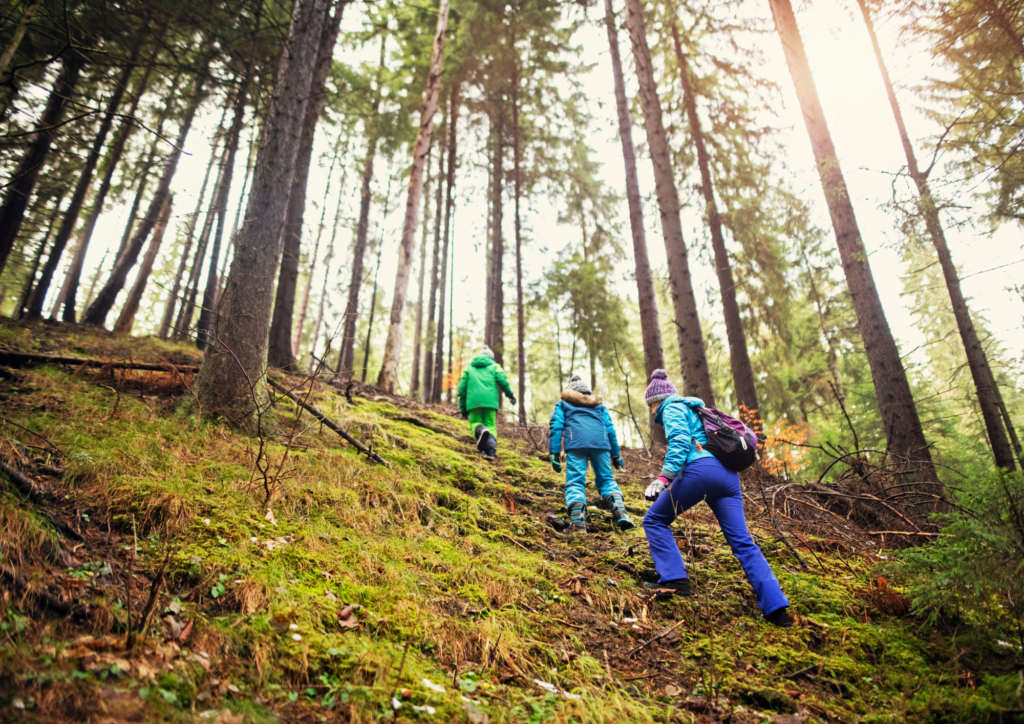 Outdoor winter activities for kids