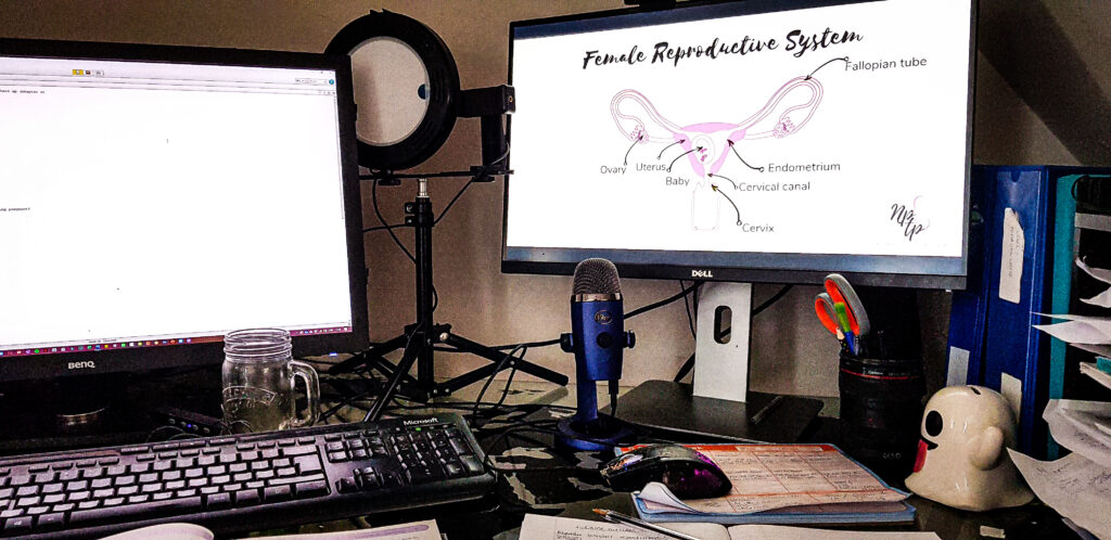 New house, new office - really miss my old one! 2020 - Working from home without childcare